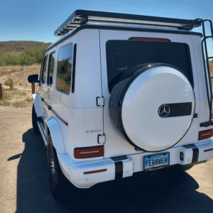 Roof Access Ladder IMG 6361 917x688