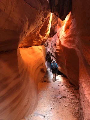 Adventures IMG 7480 large