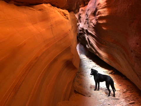 Adventures IMG 7488 large