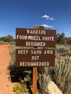 Adventures in the Canyon